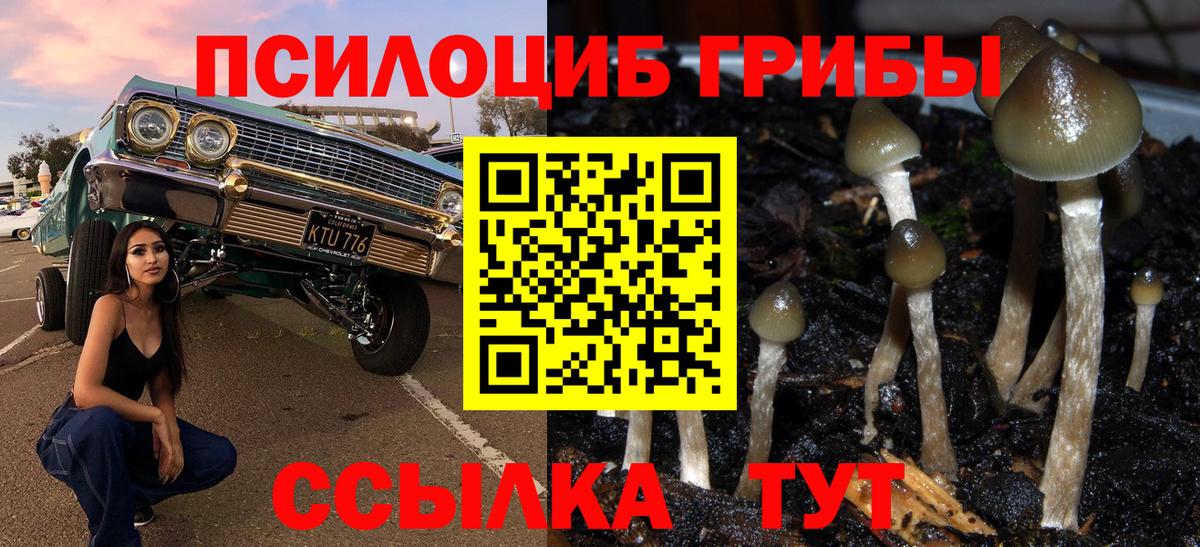 Псилоцибиновые грибы GOLDEN TEACHER  Галлюциногенные грибы MAGIC MUSHROOMS  Вход с VPN  Кузнецк 
