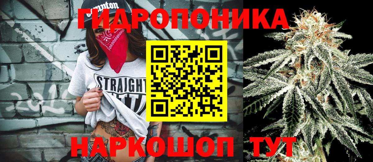Кузнецк  Марихуана OG Kush  Конопля OG Kush  Шишки марихуана марихуана  Марихуана план  Вход с VPN 